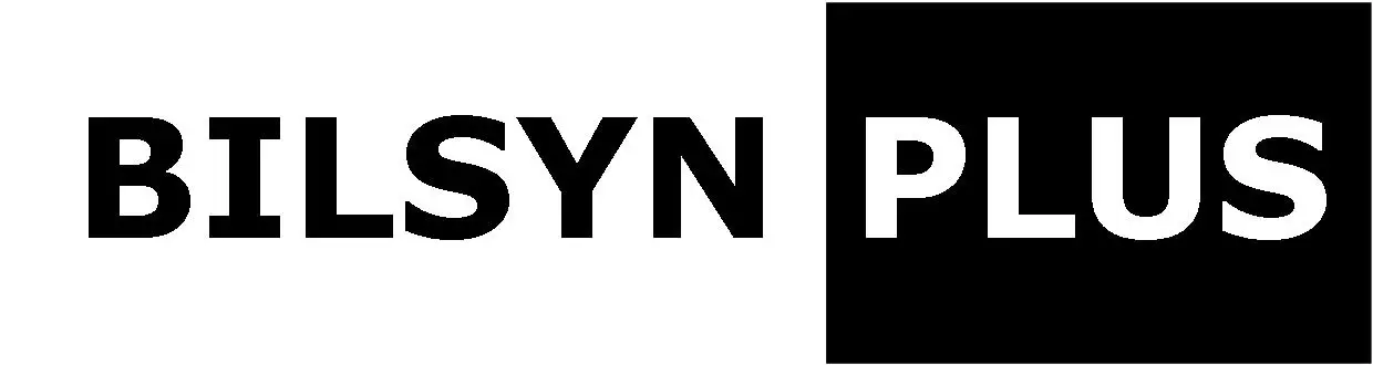 Bilsyn Plus